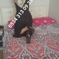 Arsız gerçek fotoğraflı kız Parla