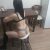 Erdemli Escort Kızları Sizlerle Buluşuyor