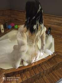 Eşsiz genç hanım Fidan